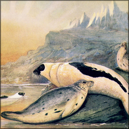 Digital Download - 1 image