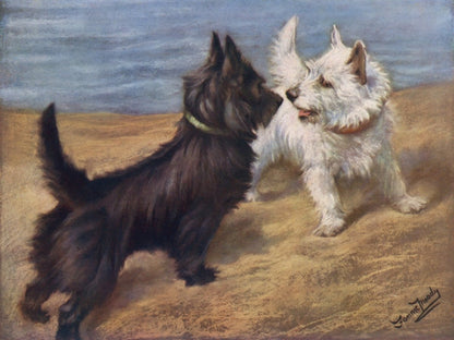 Dimensions 4800 x 3600 pixels