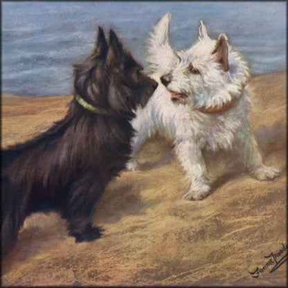 Digital Download - 1 image