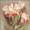 Reichenbachia (Orchids) 1886 - Henry G Moon (1857-1905) - 126 images