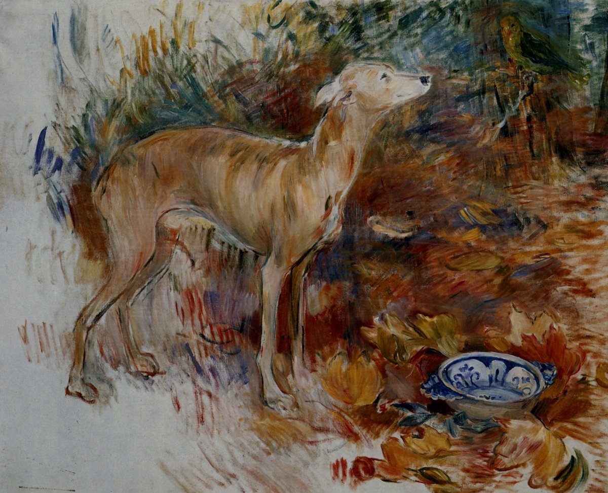 Dimensions 4914 x 3983 pixels