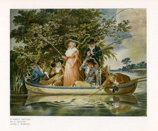 Dimensions 5540 x 4590 pixels