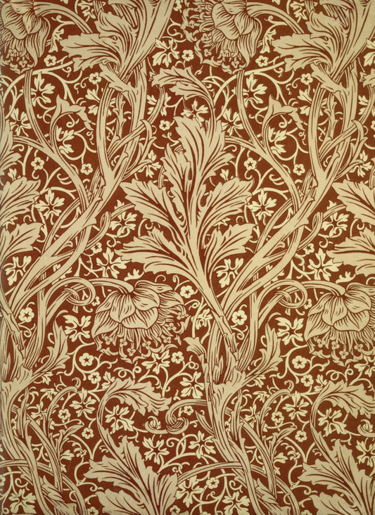 Dimensions 4608 x 6328 pixels