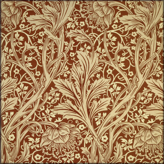 Digital Download - 1 image