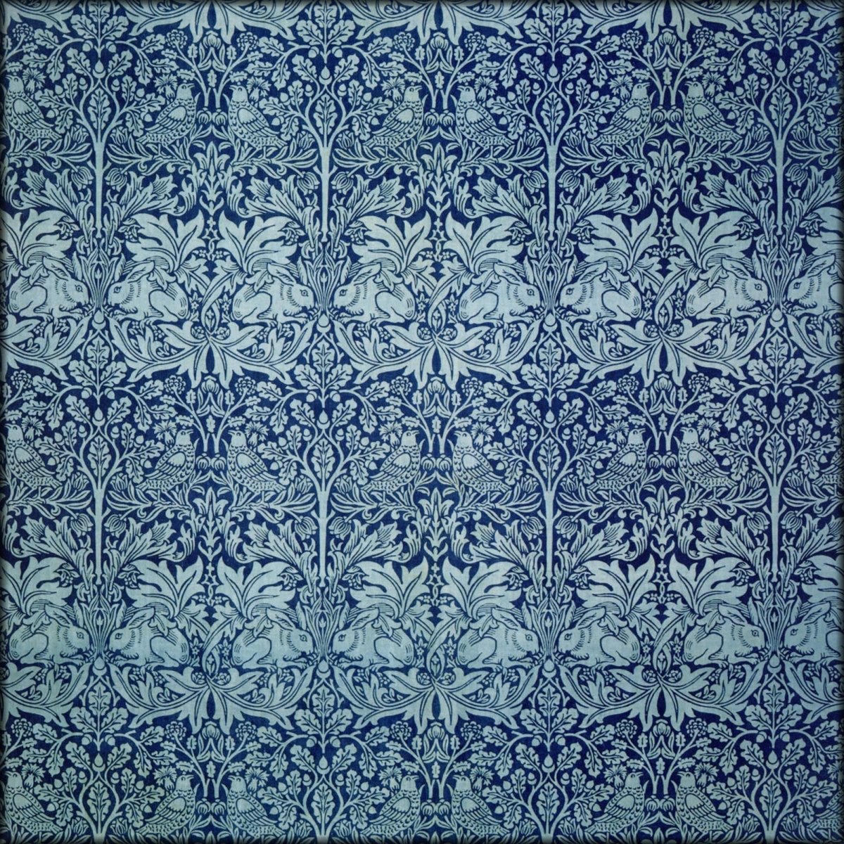 Digital Download - 1 image