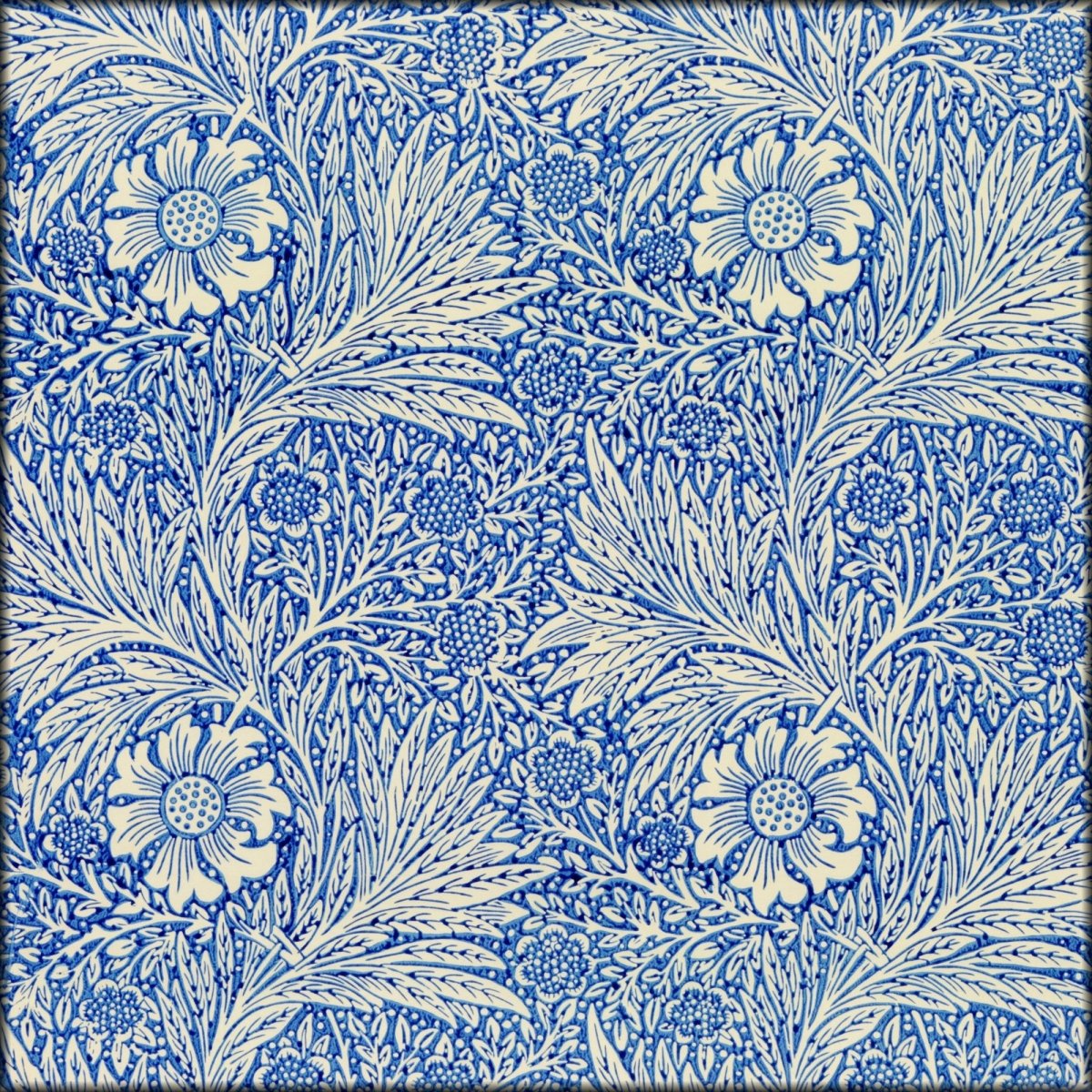 Digital Download - 1 image