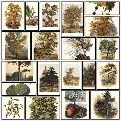 A snapshot of some of the images