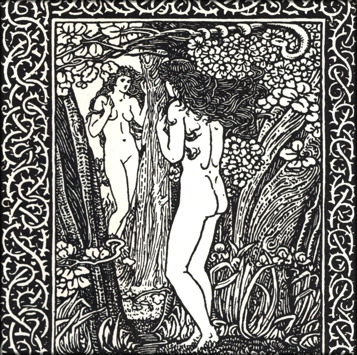 Digital Download - 1 image