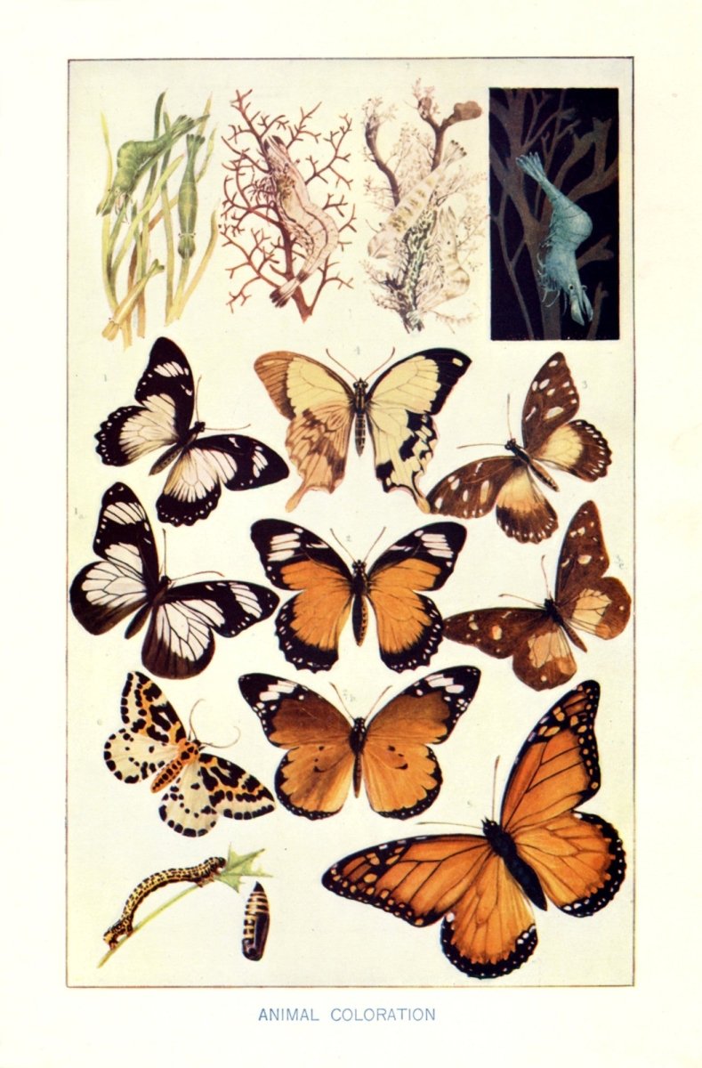 Dimensions 3424 x 5208  pixels