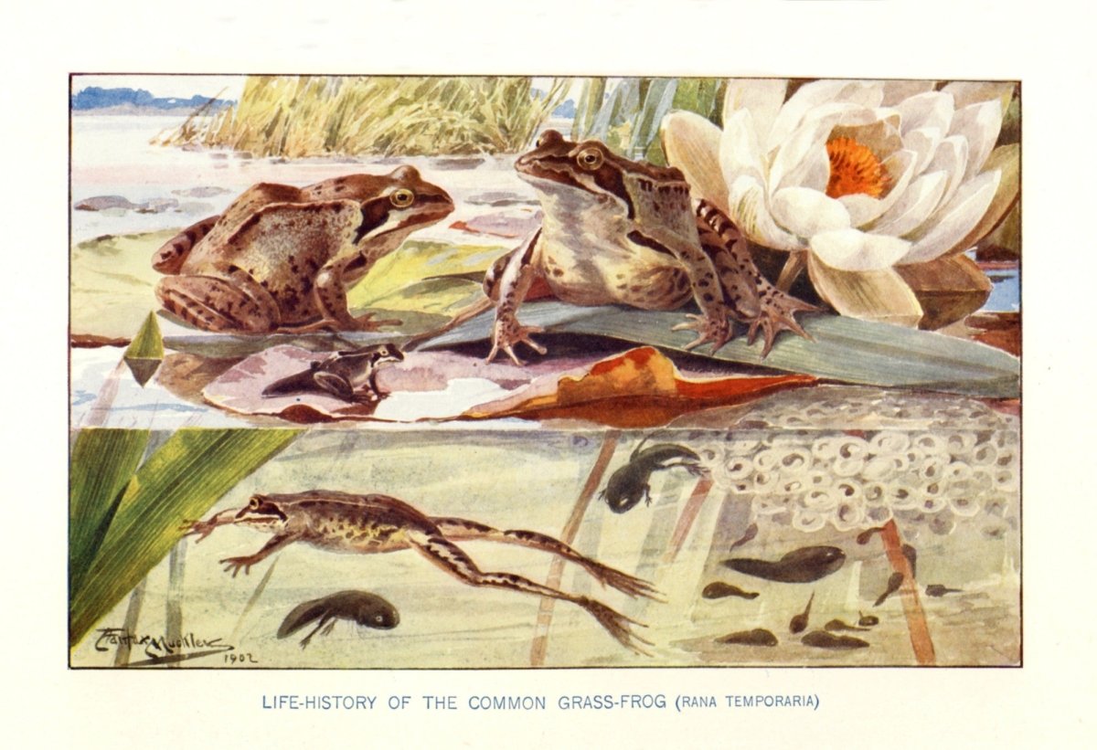 Dimensions 5176 x 3544 pixels