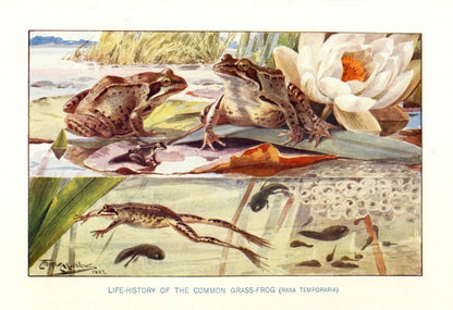 Dimensions 5176 x 3544 pixels