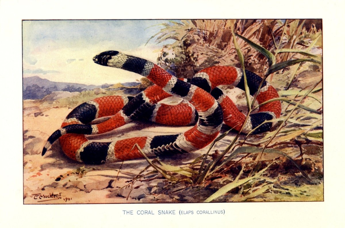 Dimensions 5190 x 3430 pixels