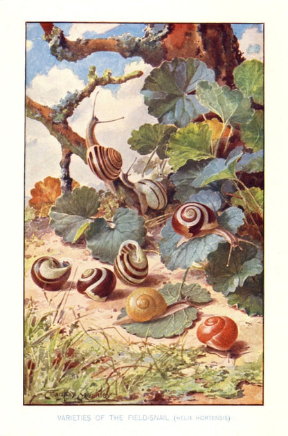 Dimensions 3384 x 5136 pixels