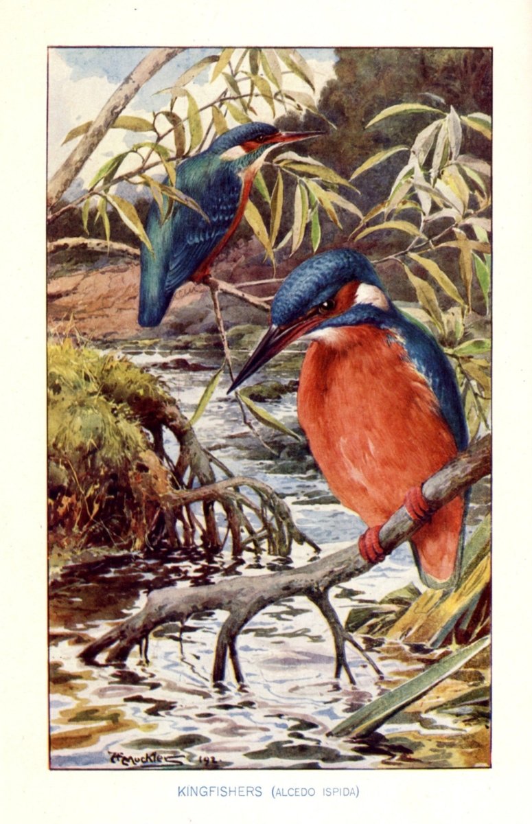 Dimensions 3320 x 5140 pixels