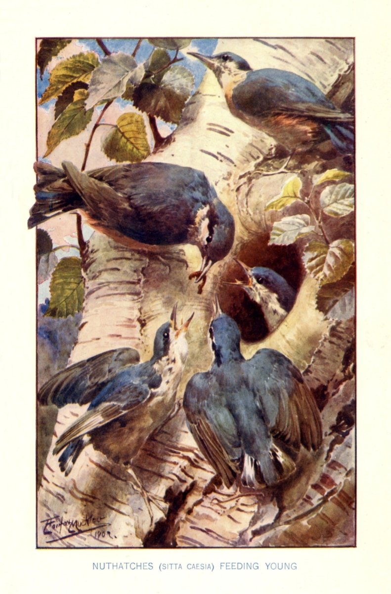 Dimensions 3470 x 5260 pixels