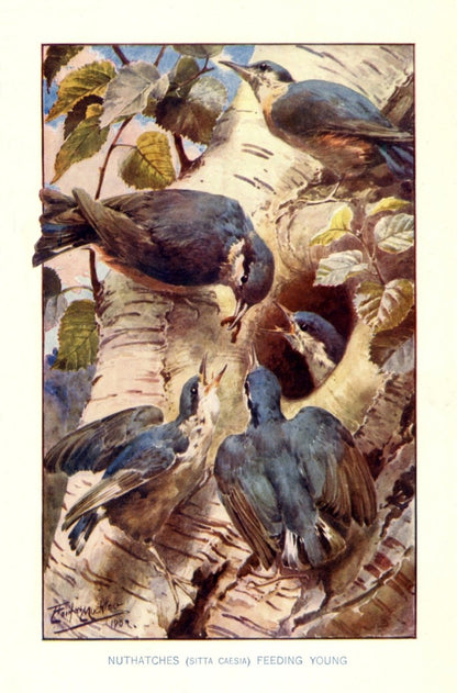 Dimensions 3470 x 5260 pixels