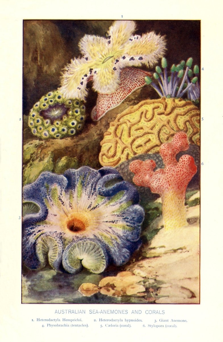 Dimensions 3568 x 5456 pixels