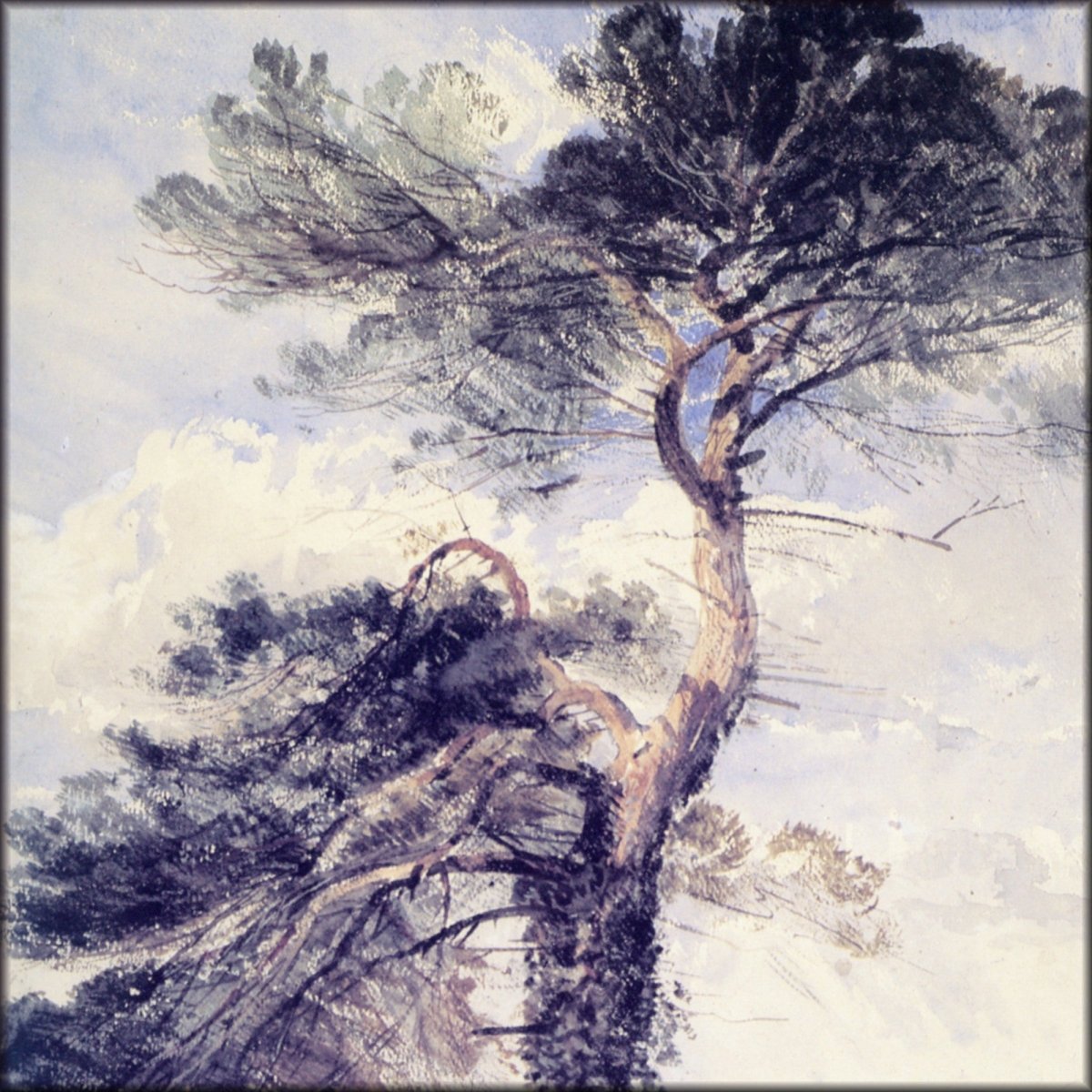 Digital Download - 1 image
