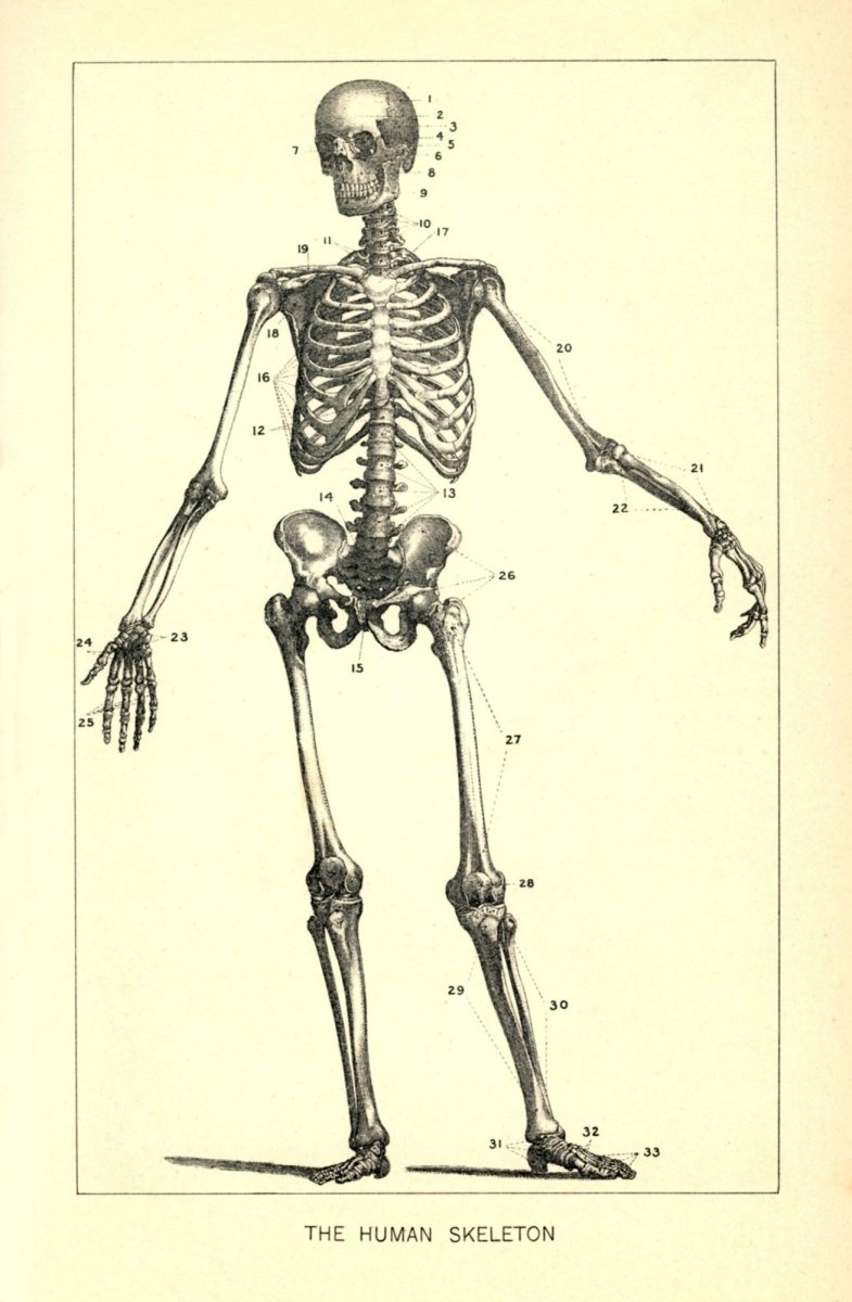 Dimensions 3400 x 5200 pixels