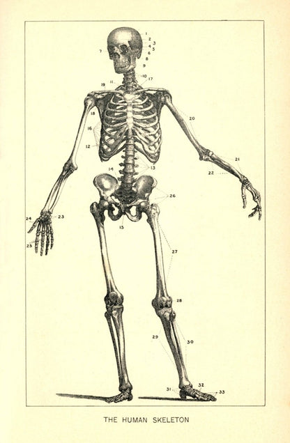 Dimensions 3400 x 5200 pixels