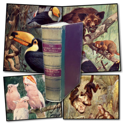 Natural History of Animals Bundle of 4 Collections