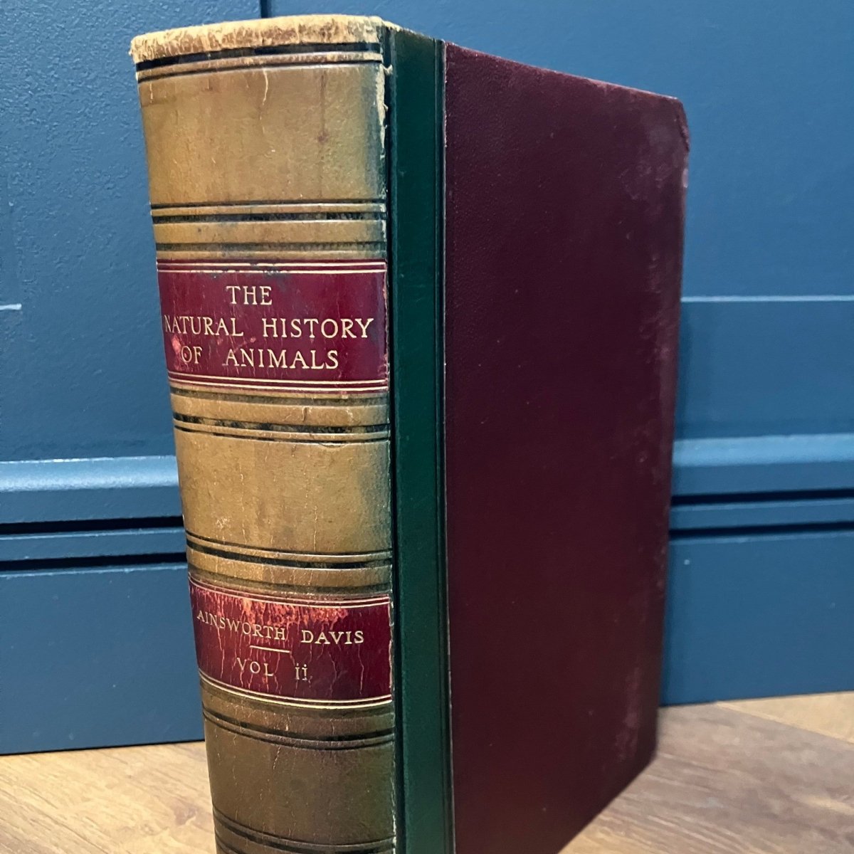 The Natural History of Animals v.2 (1905) vintage book