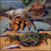 Seashore I Know, The 1913 - Charles F. Newall (1864-1917) - 8 images