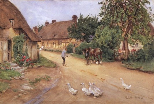 Dimensions 4942 x 3353 pixels