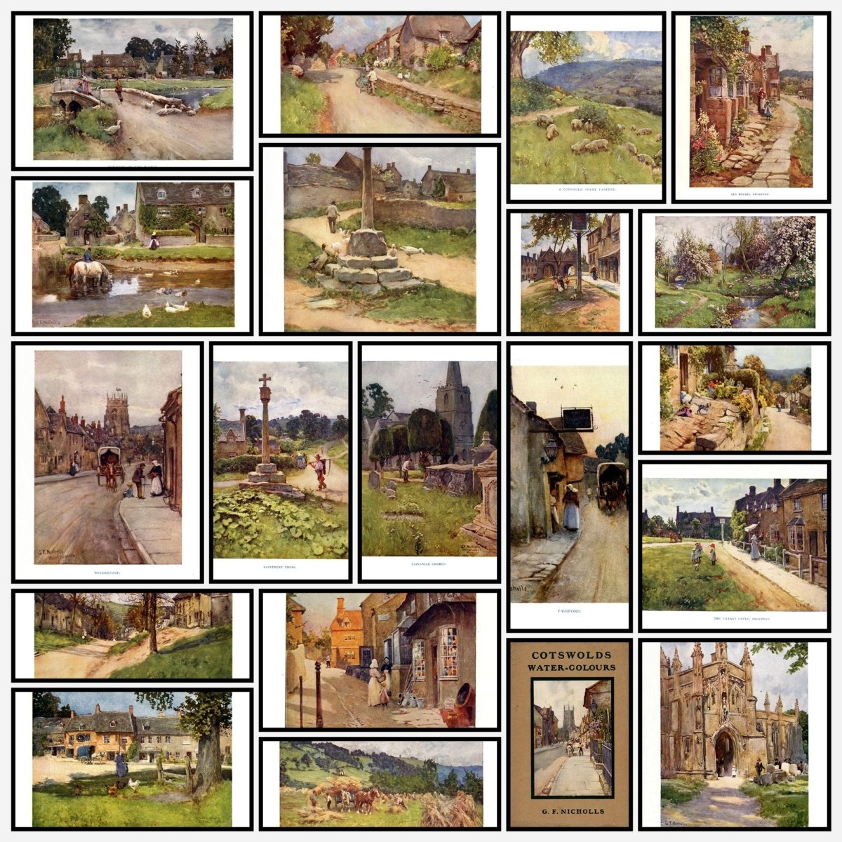 A snapshot of the images
