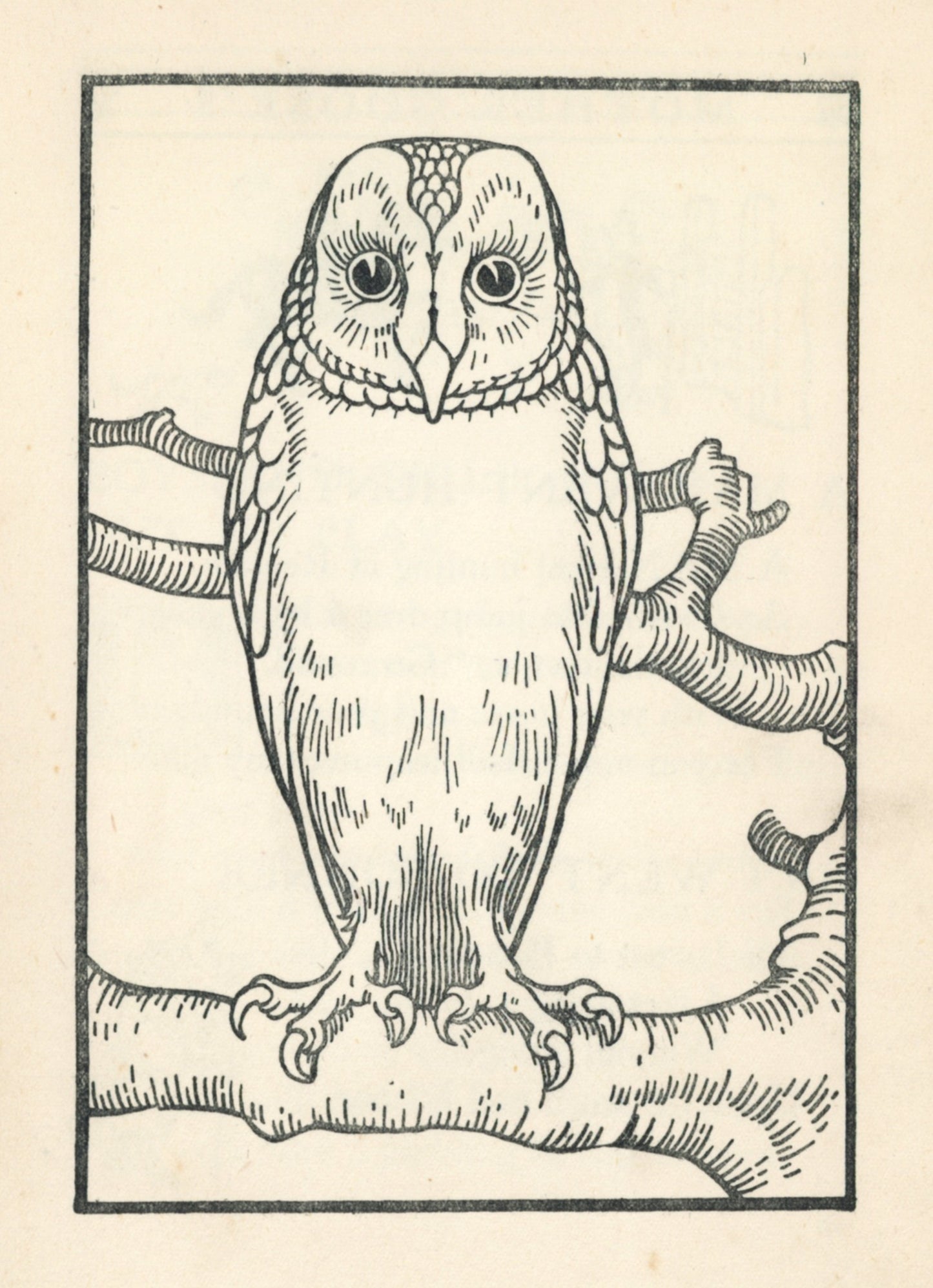 Dimensions 3216 x 4440 pixels