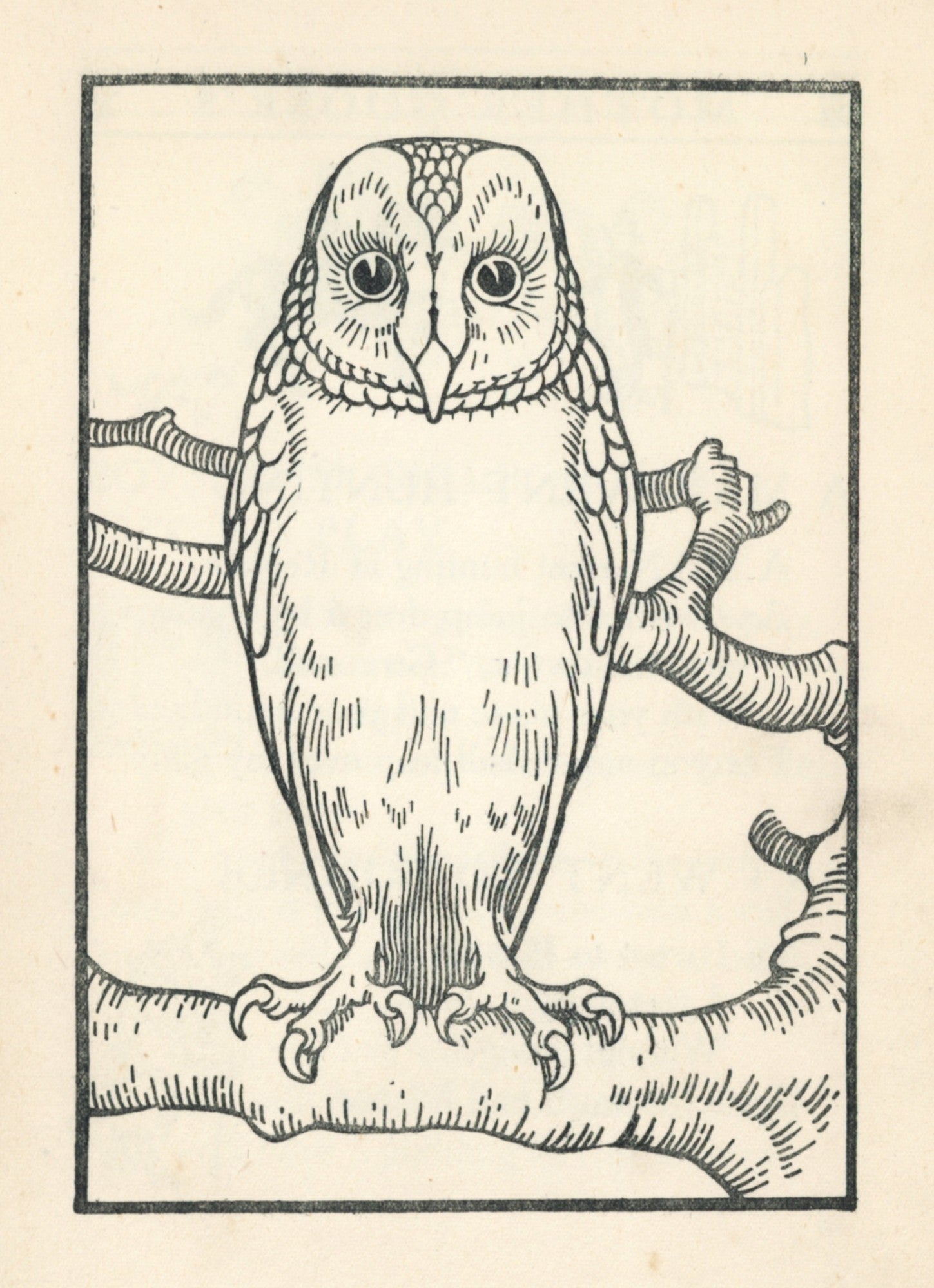 Dimensions 3216 x 4440 pixels