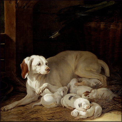 Digital Download - 1 image