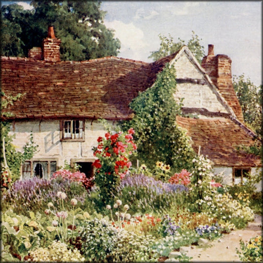 Digital Download - 32 images