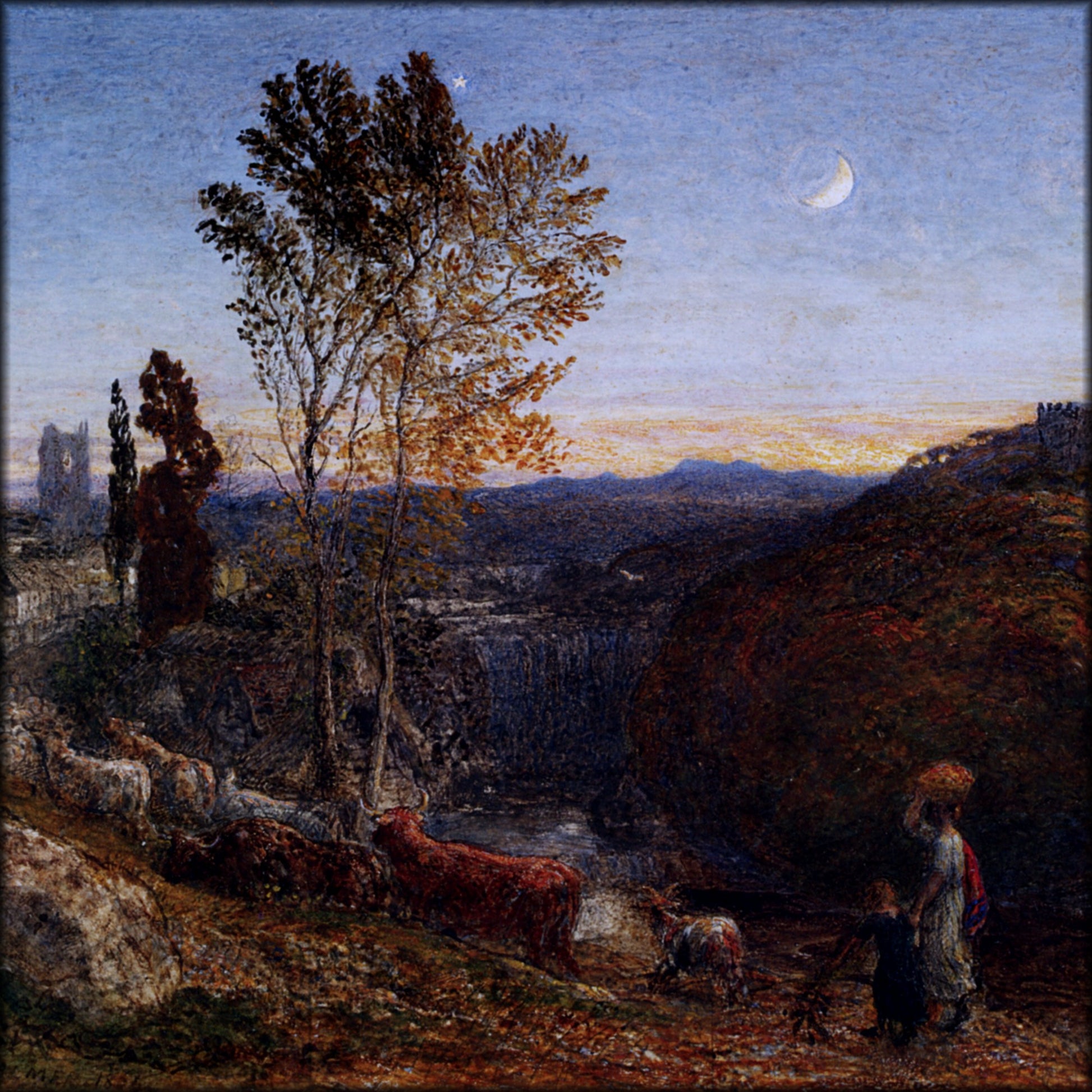 Digital Download - 1 image