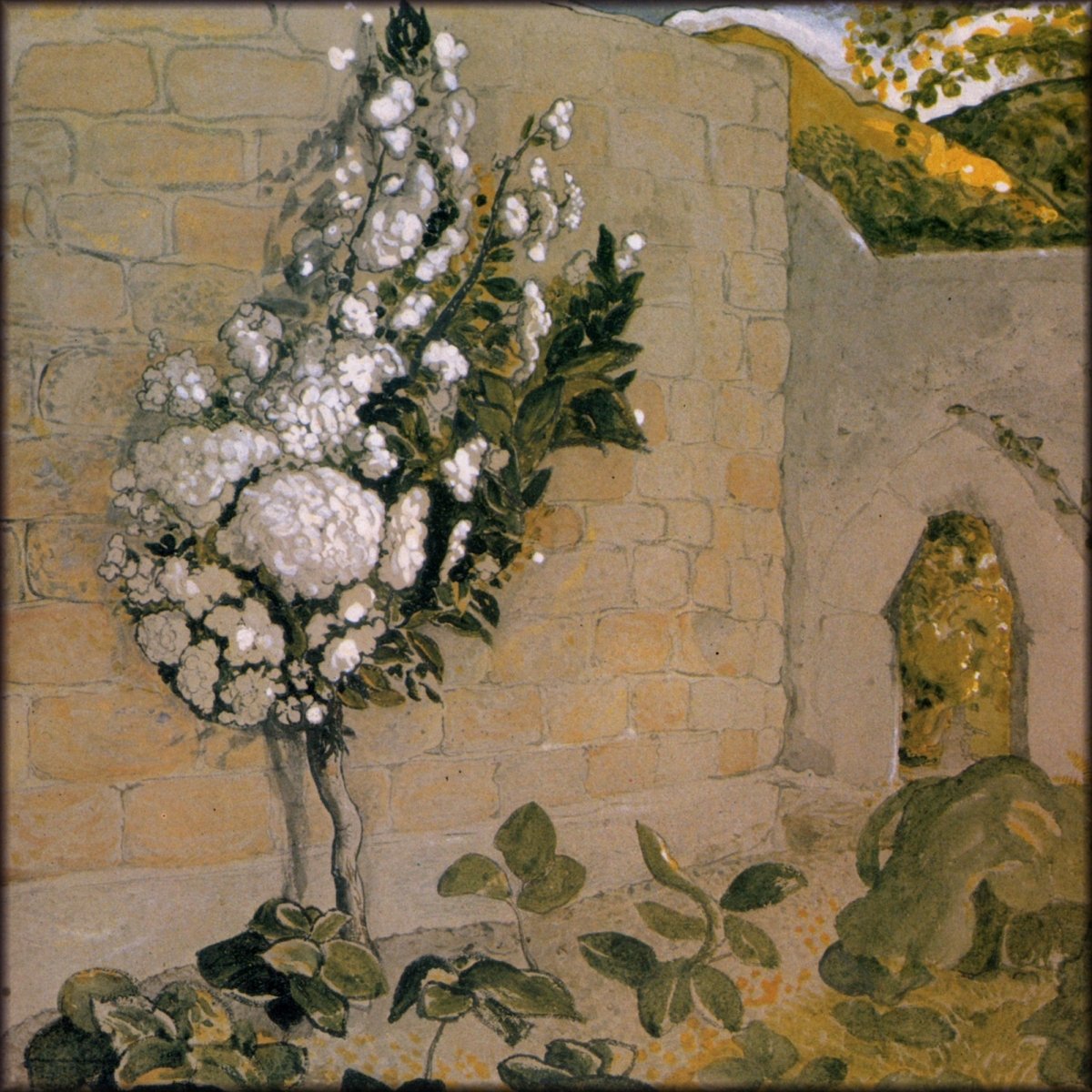 Digital Download - 1 image