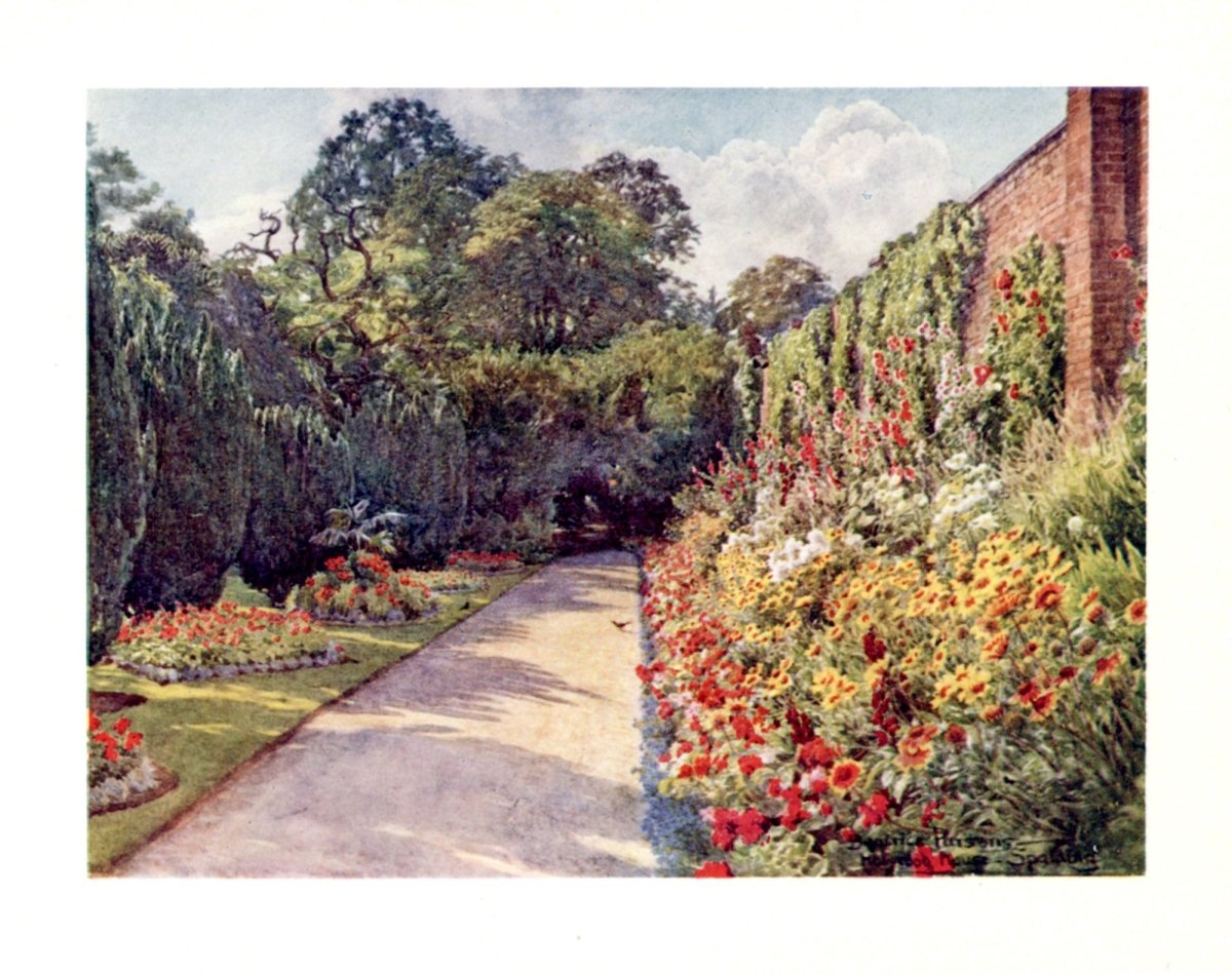 Dimensions 3856 x 3048 pixels