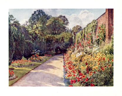 Dimensions 3856 x 3048 pixels