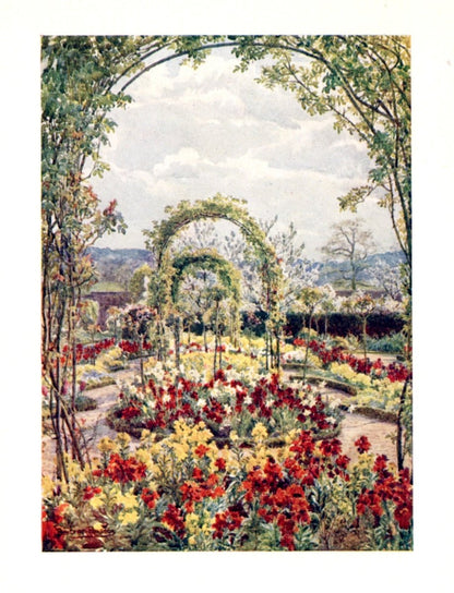 Dimensions 2958 x 3870 pixels