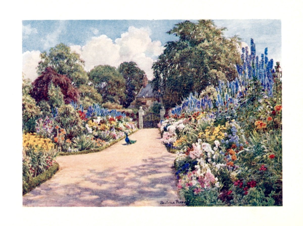 Dimensions 3852 x 2880 pixels