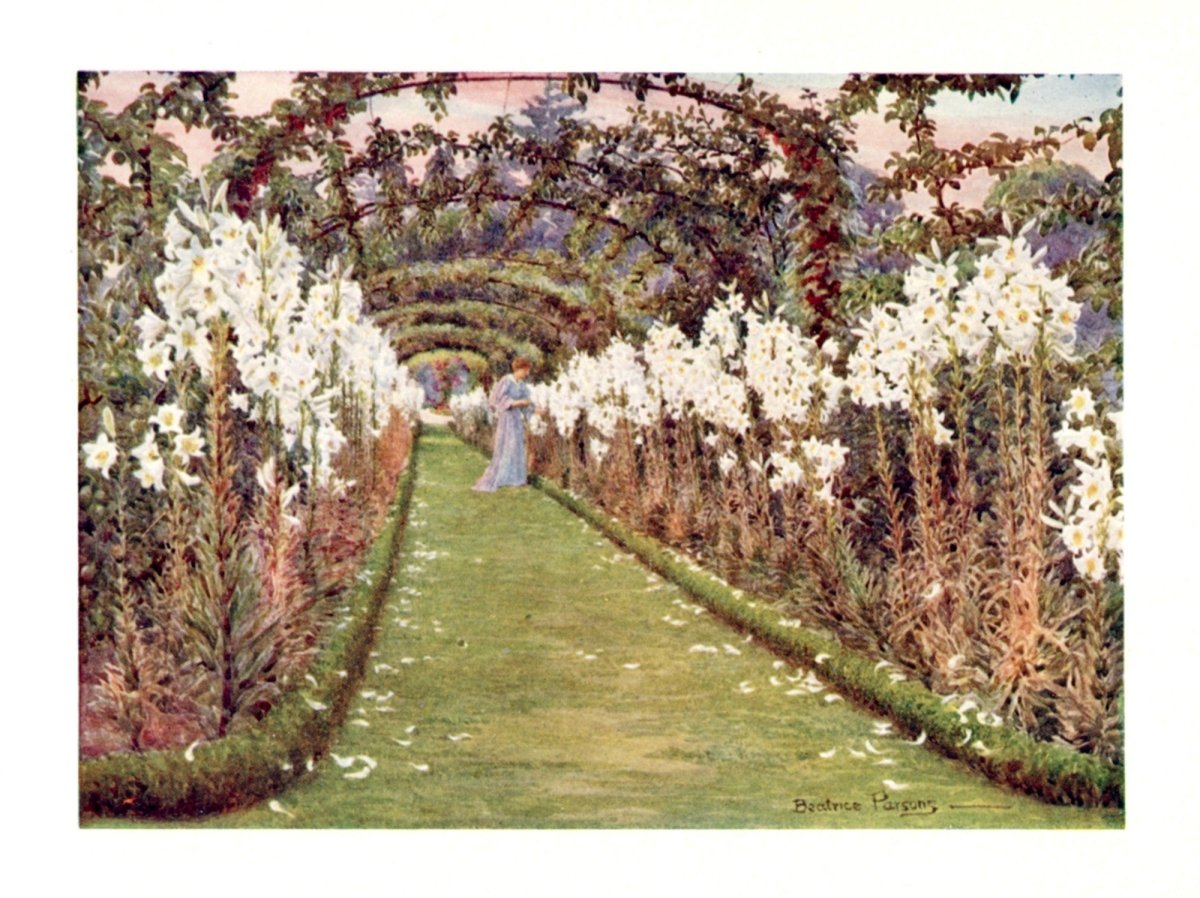 Dimensions 3787 x 2835 pixels