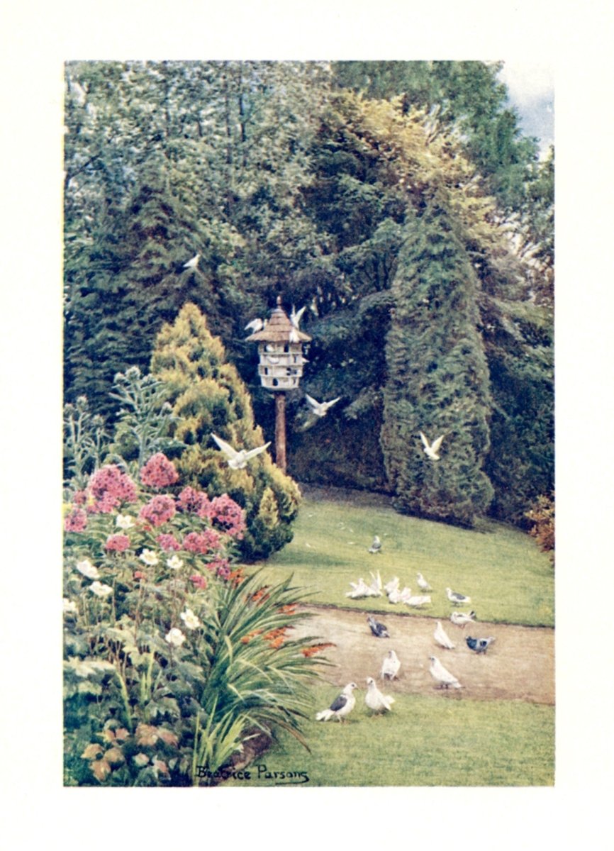 Dimensions 2800 x 3880 pixels