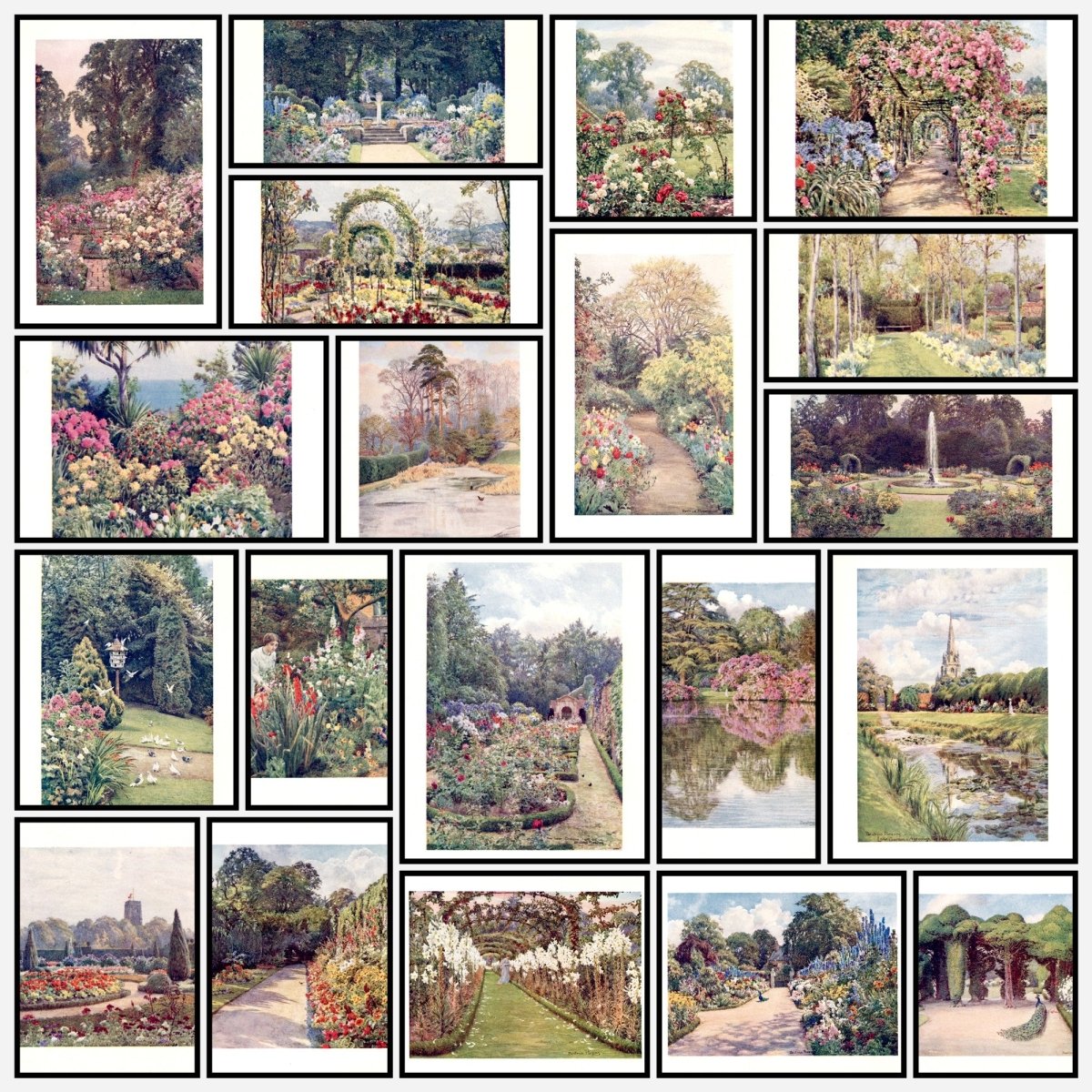 A snapshot of the images