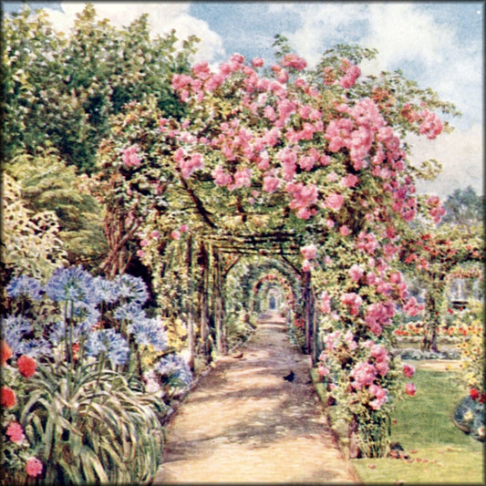 Digital Download - 20 images