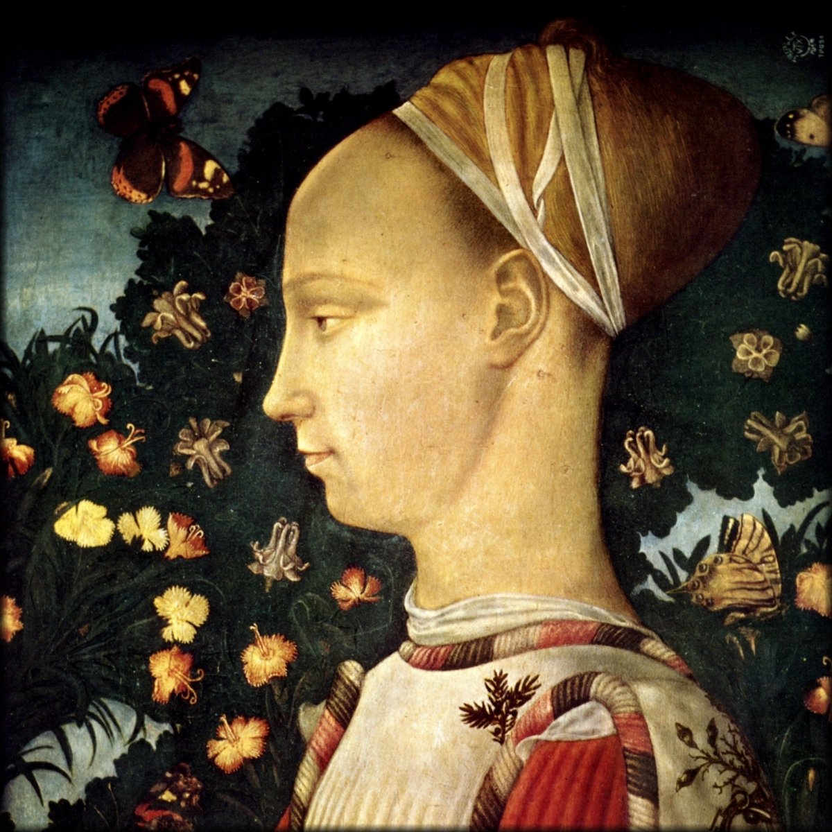 Digital Download - 1 image