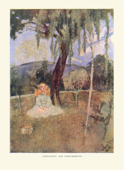 Dimensions 3136 x 4280 pixels