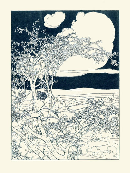 Dimensions 3255 x 4333 pixels