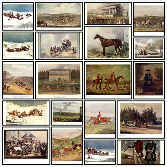 A snapshot of some of the images