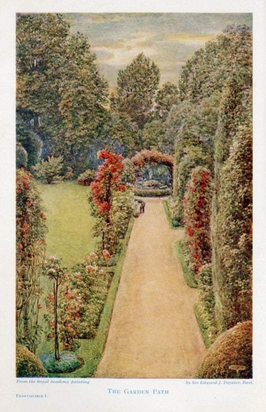 Dimensions 3384 x 5238 pixels