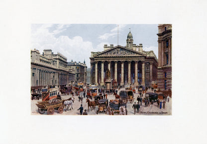 Dimensions 4950 x 3445 pixels