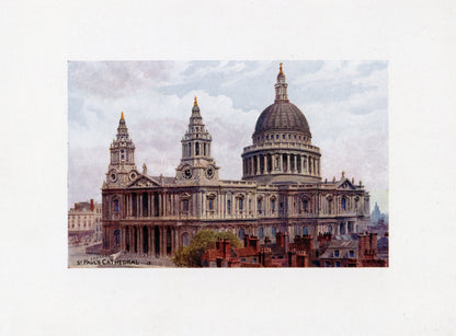 Dimensions 4781 x 3528 pixels